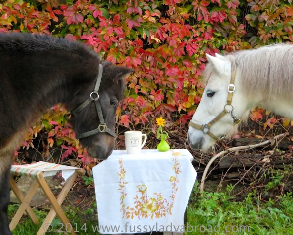 A proper cup of tea AND a decent gin and tonic with the “girls” in the stable at&nbsp;Auersthal