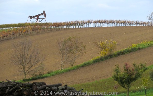 nodding donkey auersthal